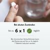 MELISTON Tabletten 40 St