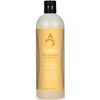Ikaria IK Nourish Release Shampoo, 16-Ounce