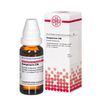 Sanguinaria C30 DHU Dilution, 20 ml Lösung