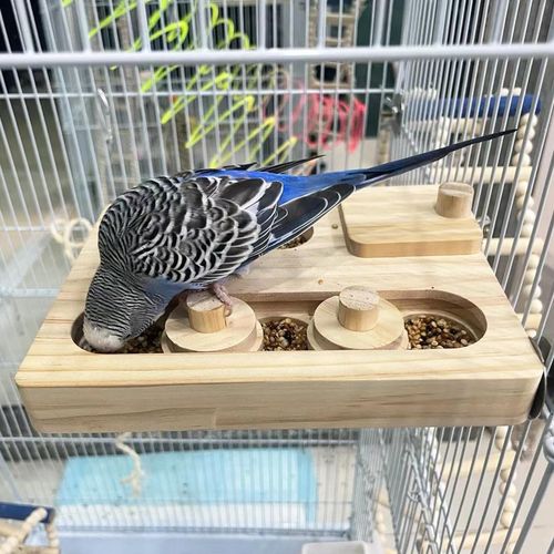 FlidRunest Wooden Bird Foraging Puzzle Toys, Parrot Enrichment Toys for Parrots Parakeet, Cockatiel, Sun Conures, Caique, Cockatoo, Small Pet Interactive Mental Enrichment Foraging Toys