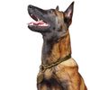 HUNTER SOLID EDUCATION training collar for dogs, leather, soft, non-slip, 50 (M), olive