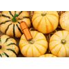 Olight iTHX Pumpkin Orange Rechargeable Keychain EDC Flashlight, 180 Lumens