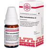 DHU Rhus toxicodendron C6 Streukügelchen, 10 g Globuli