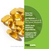 ANDREW LESSMAN Gamma Vitamin E 60 Softgels – 315 mg Gamma Tocopherol, Protective Vitamin E. Four Forms of Natural Tocopherols with Ahiflower® Oil. Powerful Anti-oxidant. No Synthetic Forms