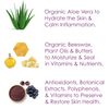 All Natural Sunscreen | Restorative Antioxidant