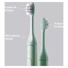 SURI Replacement Toothbrush Heads Winter Fern 3x Head