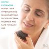 Zen Me Dry Brush Set – Premium Body Exfoliator Brush, Exfoliating Gloves, Pumice Stone for Feet & Konjac Sponge for Face, Boar Bristle Body Brush for Showering, Bath Brush, Natural Skin Scrubber Tools