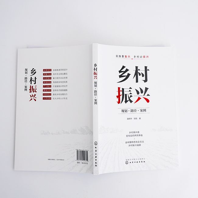 乡村振兴：规划·路径·案例