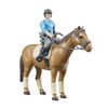 Police Horse and Rider