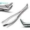 Universal Extraction Forceps 151s Molars Incisors Dental Surgical Instruments