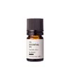 Vanilla Absolute Organic (oil soluble) / 5ml Essential Oil