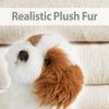 VFM - Cavapoo Dog Soft Toy Plush Teddy, Cockapoo, Labradoodle, Cuddly Teddy Bear Premium - 18cm - White & Brown