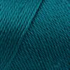 Bulk Buy: Caron Simply Soft Yarn Solids (2-Pack) (Pagoda)