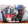 Chicago Fire - Staffel sieben [6 DVDs]