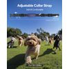 Dog Shock Collar with Remote Control  Training Collar IPX7 Waterproof Electric