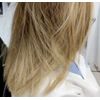 Natural Ash Blonde Toner 010A