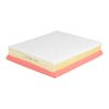 TJ Filters QFA0642 Air Filter