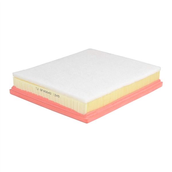 TJ Filters QFA0642 Air Filter