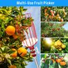 96" L handle Fruit orange apple mango picker grabber Catcher tool w/ Big Basket