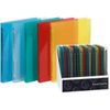 Exacompta 20 x Ring Binder Crystal A4 Polypropylene 20 mm 2 Rings Assorted Colours