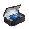Asvel Insulated Lunch Bag