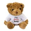 I'M SORRY BECKY - Teddy Bear - Cute Soft Cuddly - Gift Present Apology