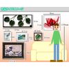 Art Frame Carine Lutt Hands and Daisy Hands and Daisy