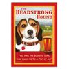 Retro Pets Headstrong Hound Beagle Fridge Magnet