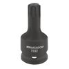 Matador Insert, Torx Power Screwdriver, 20 (3/4) T 100 7592 1000