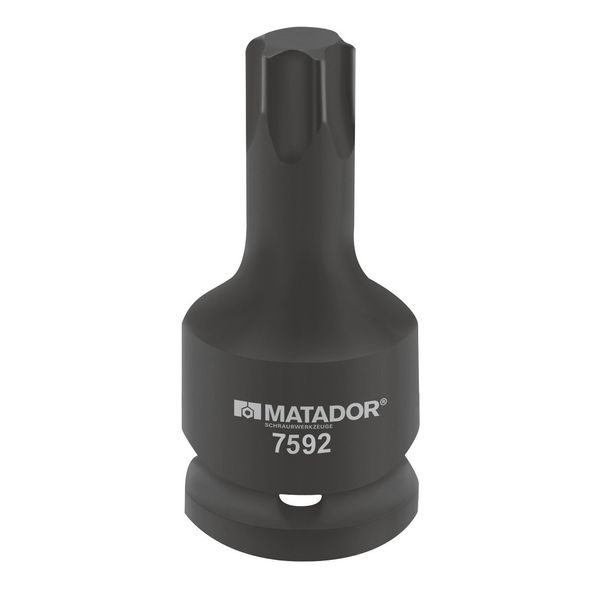 Matador Insert, Torx Power Screwdriver, 20 (3/4) T 100 7592 1000