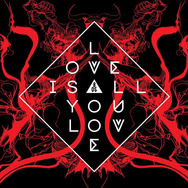LOVE IS ALL YOU LOVE [VINYL]