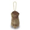 Otter LMC Bald Chan: 703877