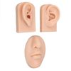 3D Educational Models Simulation Display Props Kit Include 1 X Nose and Mouth Model and 1 X Pair of Ear Model for Piercing Suture Practice (Silicone Material) (Medium Skin Color)