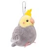 Trumpet Cockatiel, Grey..