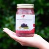 Healthy Herbs | Sea Moss Gel with Elderberry, Burdock Root and Bladderwrack
