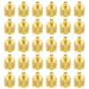 30Pack 1/4" SAE Service Access Valve Caps Service Valve Cap Valve Core Remover