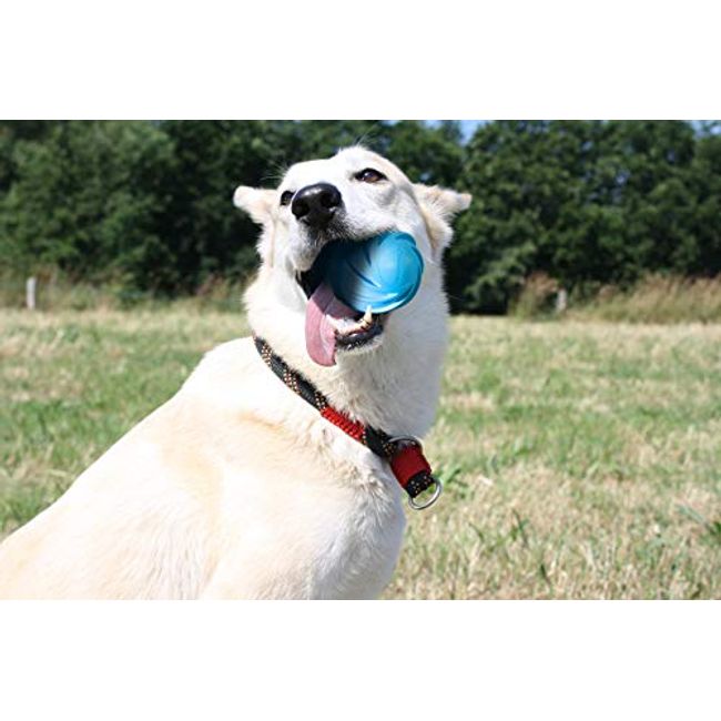 Rechargeable Interactive Ball Dogs