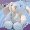 WILD BABY Stuffed Animal Easter Bunny Rabbit - Microwavable Bunny Stuffed Animal with Aromatherapy for Babies and Kids - 10 inches Bunny Plush Toy