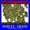 BARLEY GRASS No Additives MAX High Potency Chlorophyll Nutrition 100 V Capsules