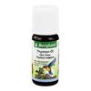 Thyme Oil 15% Wheat Germ Oil 10 ml
