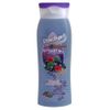 Shower Gel Smoothie Wild Berry 300 ml