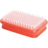 Swix T161D White Nylon Rectangular Brush, Red, White (Model: T01)
