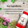 Dr. Christopher's Blood Stream Formula - Supplement for Blood Circulation and Vein Elasticity