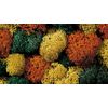 Noch 08630 Lichen Autumn Mix Assorted Landscape Modelling