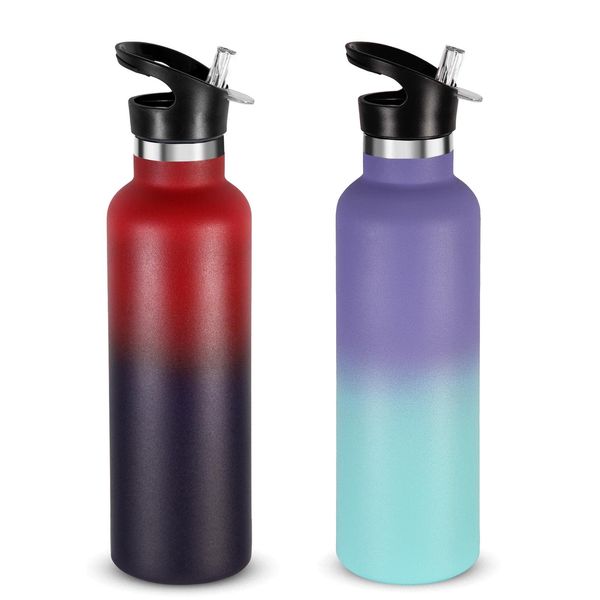 Volhoply 750ml Insulated Water Bottles Bulk 2 Pack,Stainless Steel Double Wall Sport Bottle with Straw Lid,Metal Reusable Thermoses with Hand Cap for School,Cyclists,Hikers,Gift (Assorted,Set of 2)