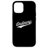 Case for iPhone 13 Pro Ordinary