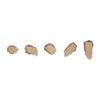 Jane Iredale PurePressed Base Mineral Foundation SPF 20, Riviera - Refill