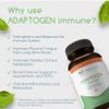 returnHEALTHY Adaptogen Immune Support Supplement 120 Caps