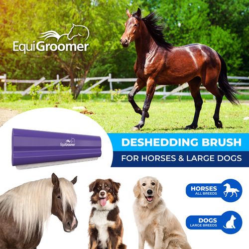EquiGroomer Deshedding Brush for Horses | Purple | Undercoat Tool for Large Pets With Short and Long Hair | Comb Removes Loose Dirt, Hair and Fur | Professional Horse Brush for Grooming Shedding