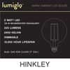 Hinkley Lumiglo G40 Led Globe E26 Bulb Clear